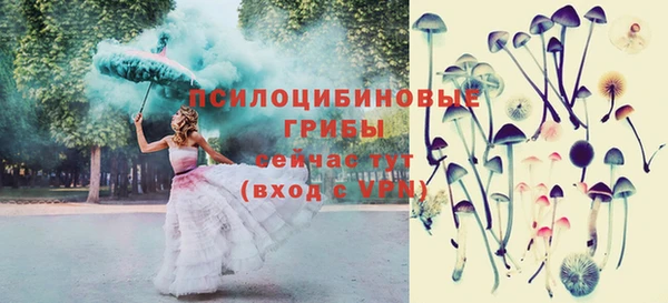 твердый Надым