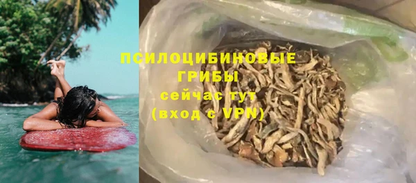 твердый Надым