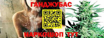 прущие крисы Ипатово