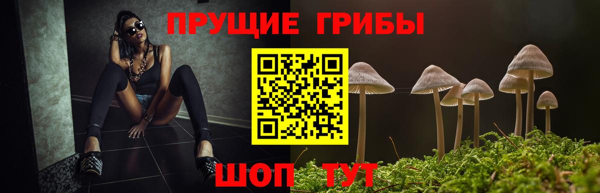 Североуральск  даркнет сайт  Вход с VPN  Галлюциногенные грибы Psilocybe 